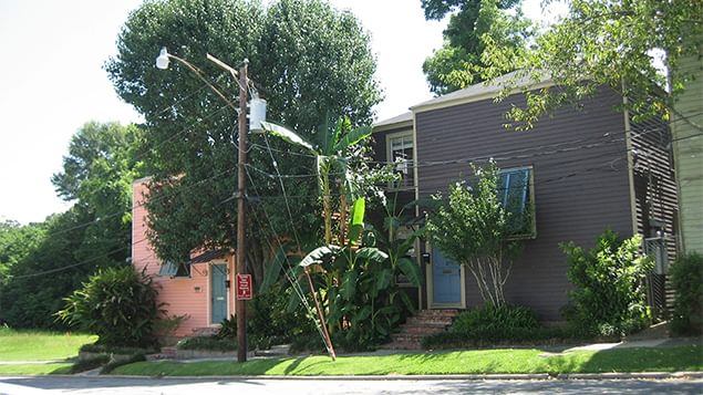 Historic Thomas Duplexes/Townhomes